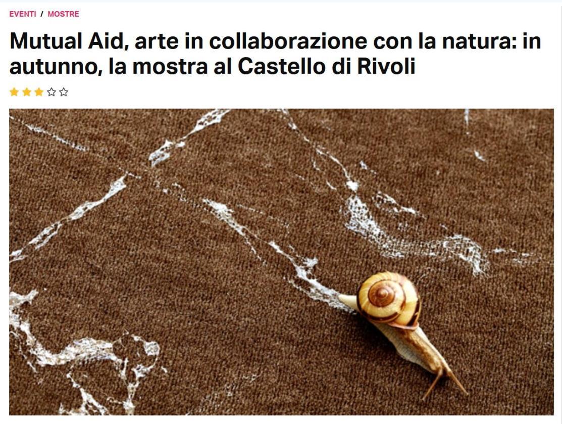 Appartamento La Casa Di Silvio Ai Giardini Reali Torino